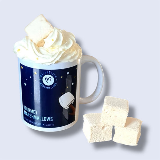 Mug of hot chocolate with Salted Caramel gourmet marshmallows